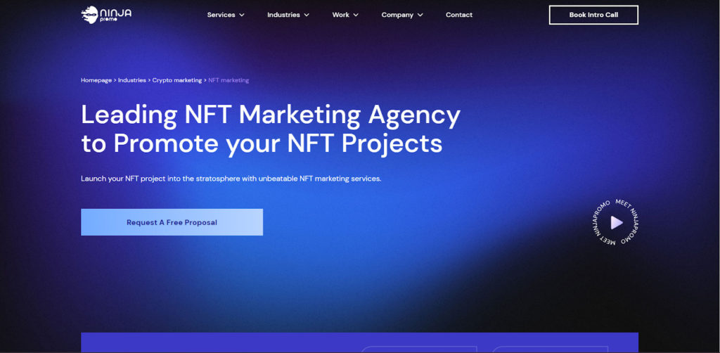 NFT Marketing Ninja Promo