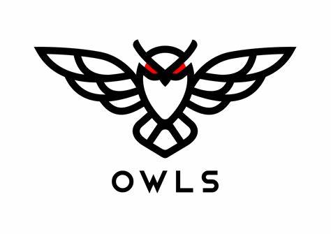 Owls Options Traders